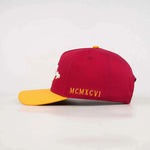 Load image into Gallery viewer, Washington Commanders Statement Snapback
